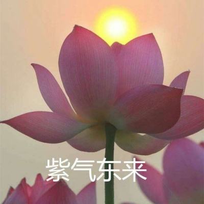 传奇演义手游官方版下载
